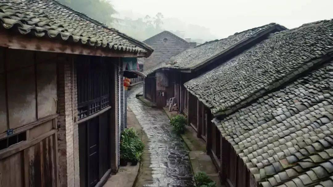 小猫钓鱼游戏龙王版有船